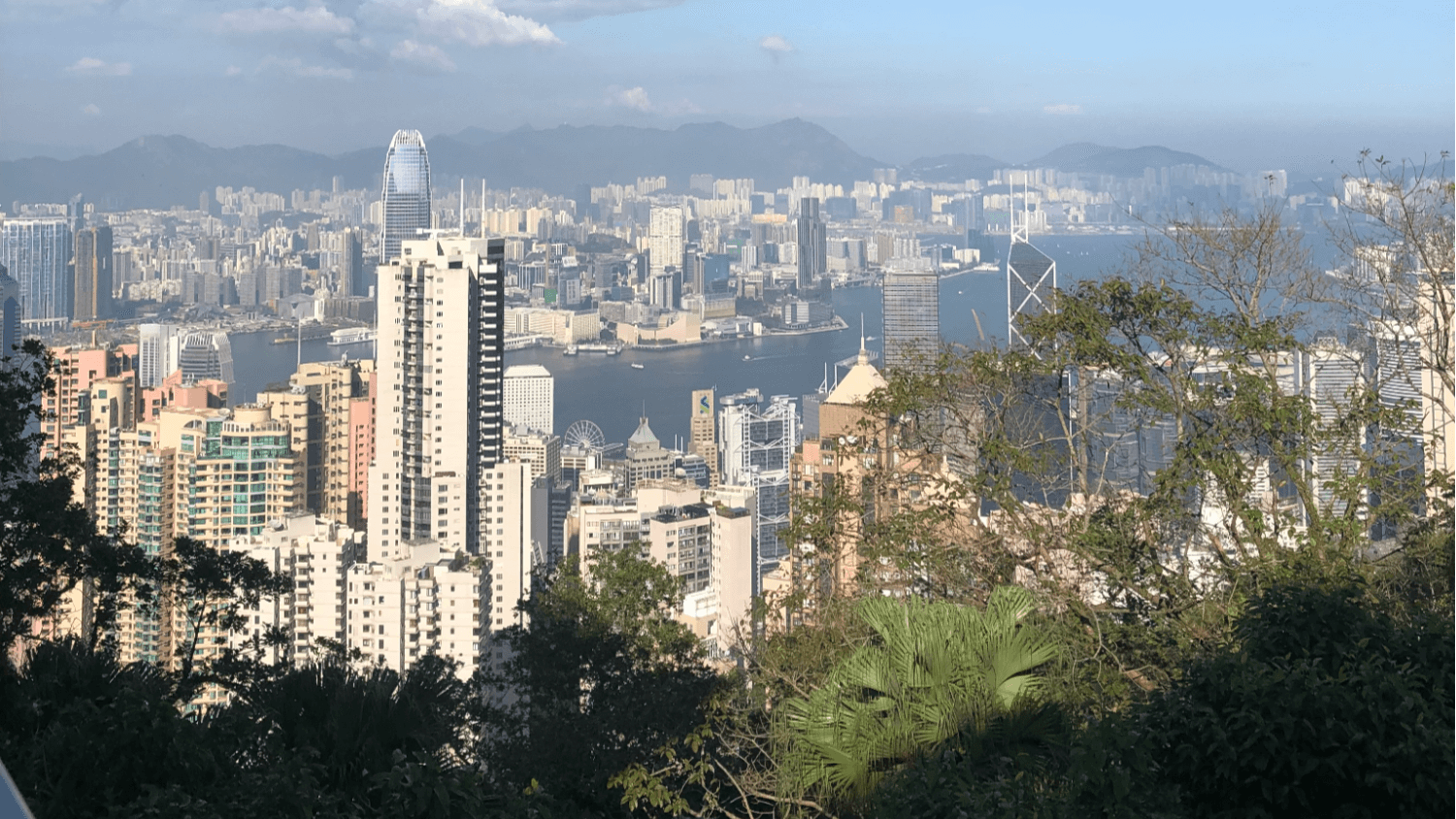 international schools in Hong Kong